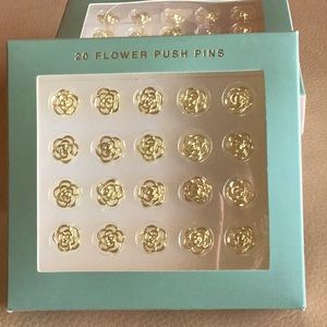 James Burke Rose Push Pins.